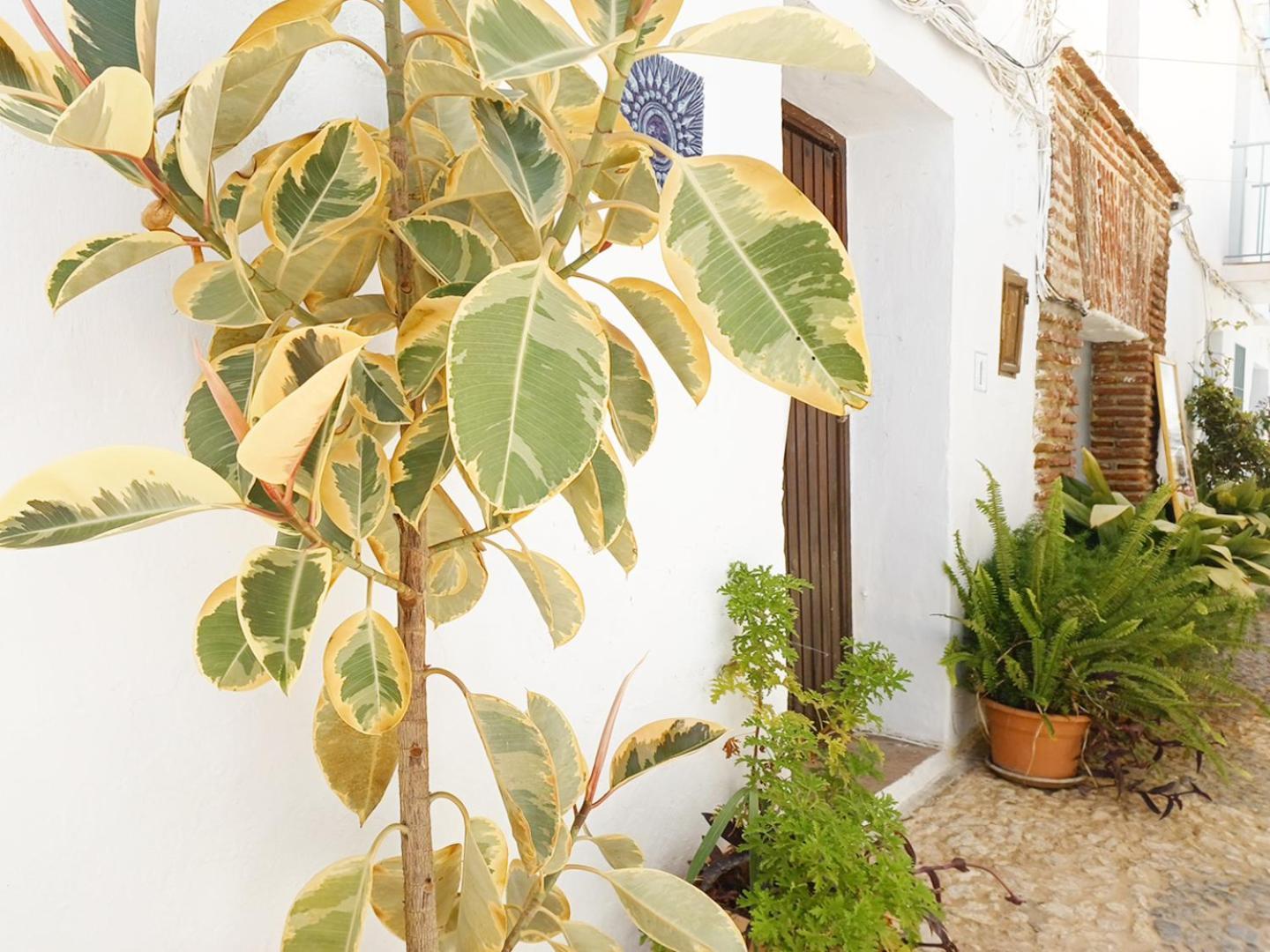 Las Pizarrillas: Tu Hogar En Este Blanco Pueblo Frigiliana Exterior photo