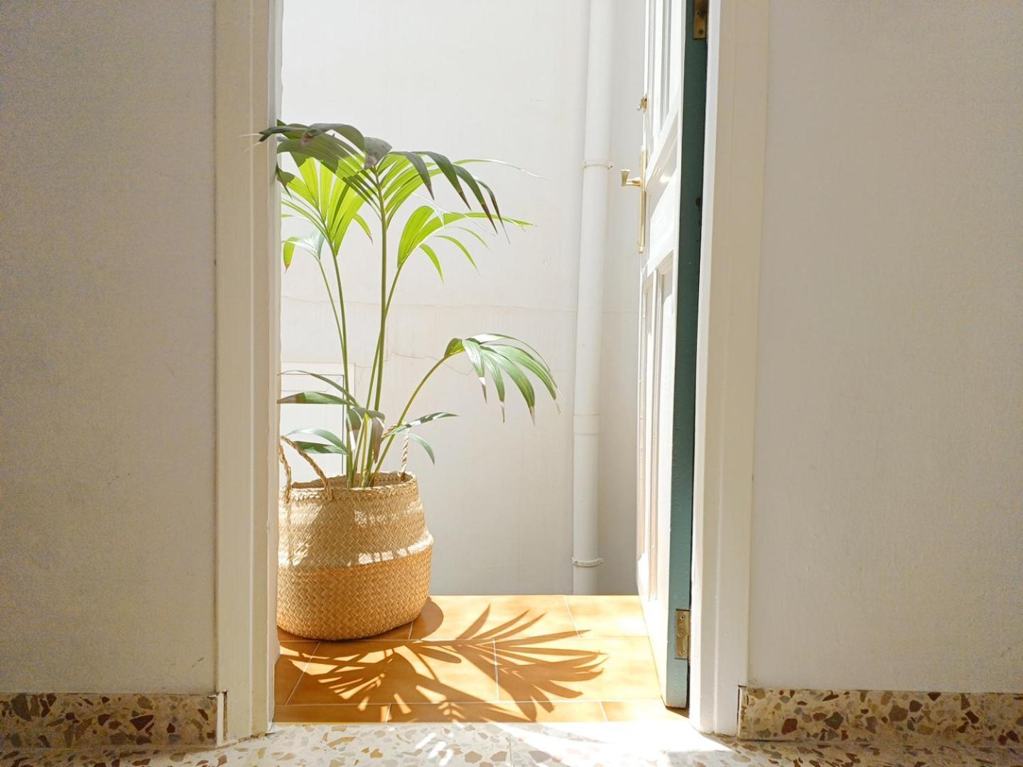 Las Pizarrillas: Tu Hogar En Este Blanco Pueblo Frigiliana Exterior photo